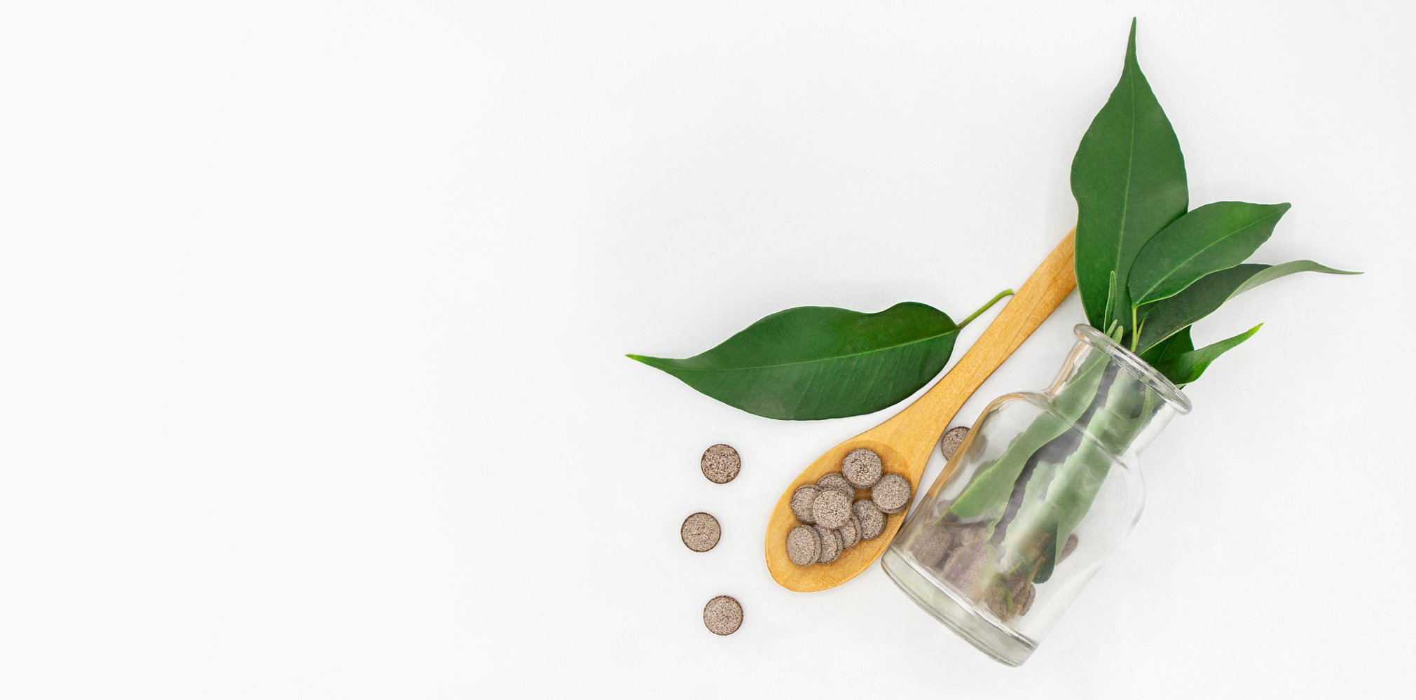 dietary food supplement